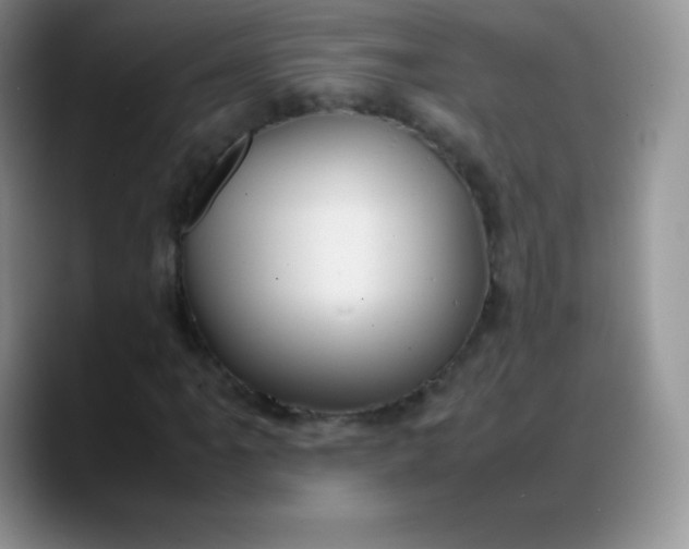 X0000088211061200705292048