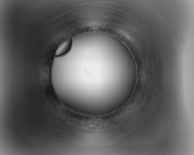 X0000088211062200705292048