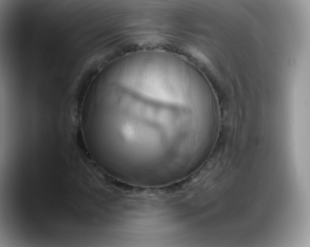 X0000088211063200705292048