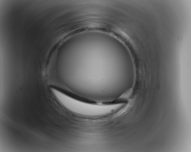 X0000088211065200705292048