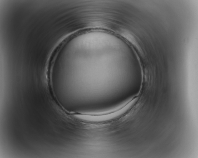 X0000088211068200705292048