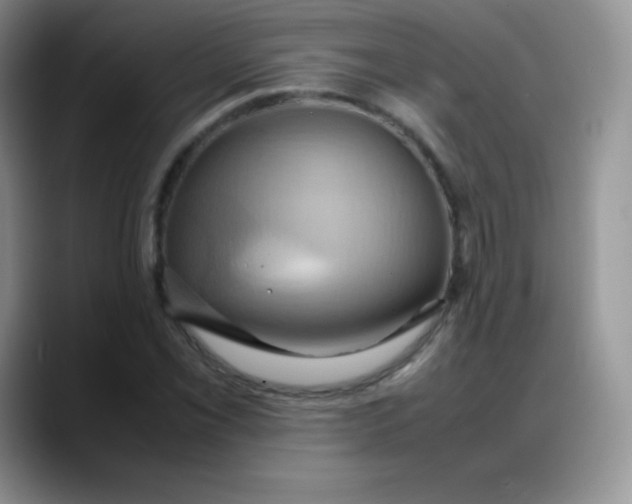X0000088211069200705292048