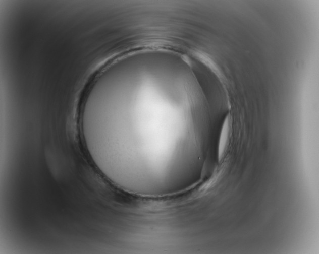 X0000088211071200705292048