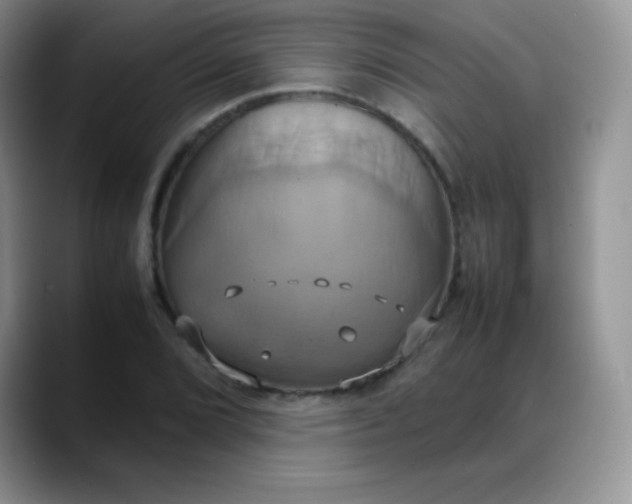 X0000088211072200705292048