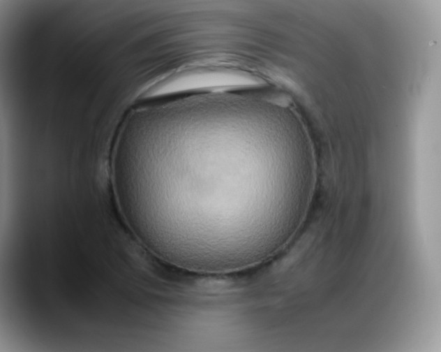 X0000088211073200705292048