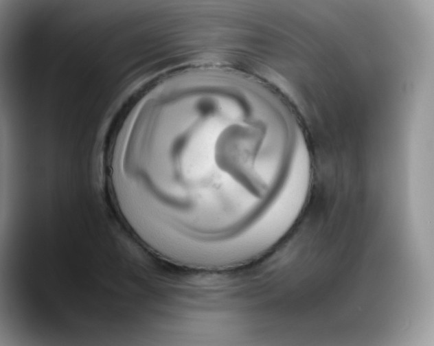 X0000088211075200705292048