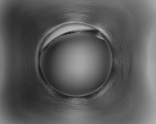 X0000088211077200705292048
