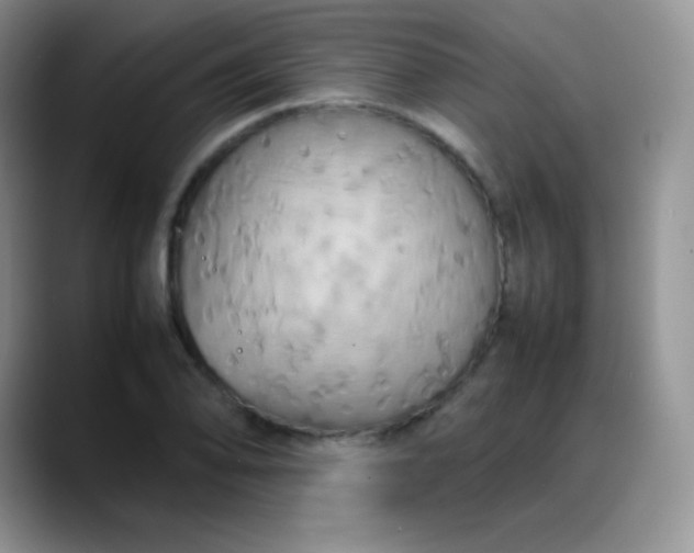 X0000088211078200705292048