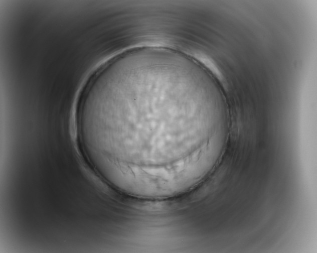 X0000088211080200705292048