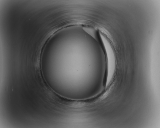 X0000088211081200705292048