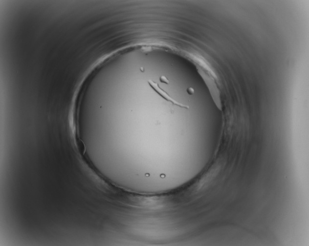 X0000088211084200705292048
