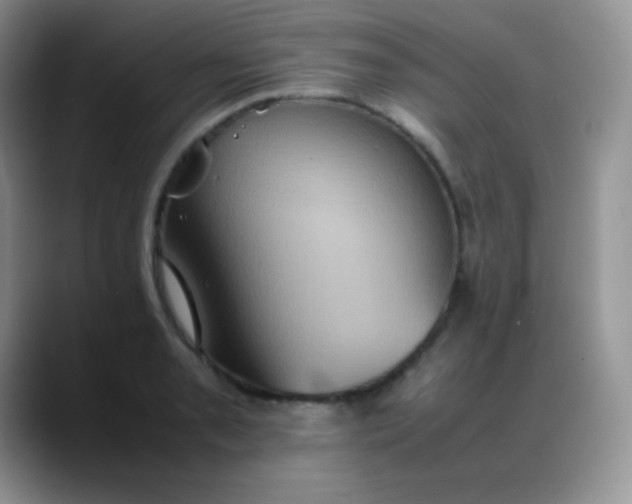 X0000088211085200705292048