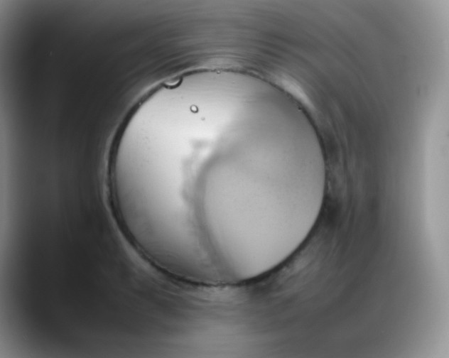 X0000088211087200705292048