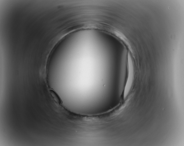 X0000088211089200705292048