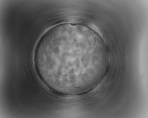 X0000088211091200705292047