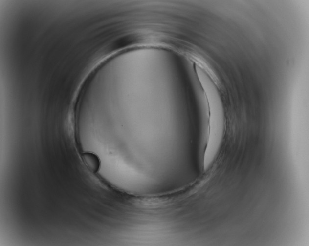 X0000088211092200705292047