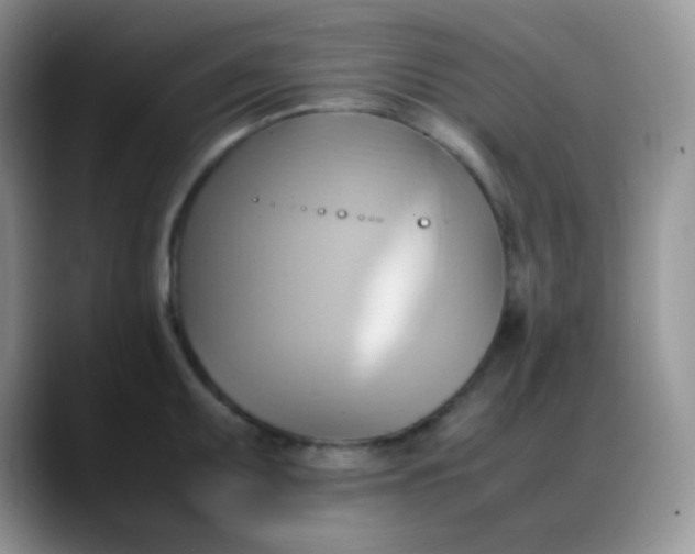 X0000088211095200705292047