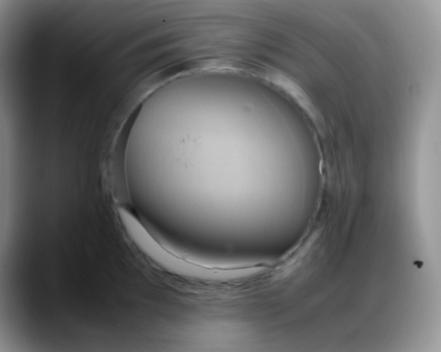 X0000088211097200705292047