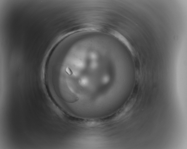 X0000088211099200705292047