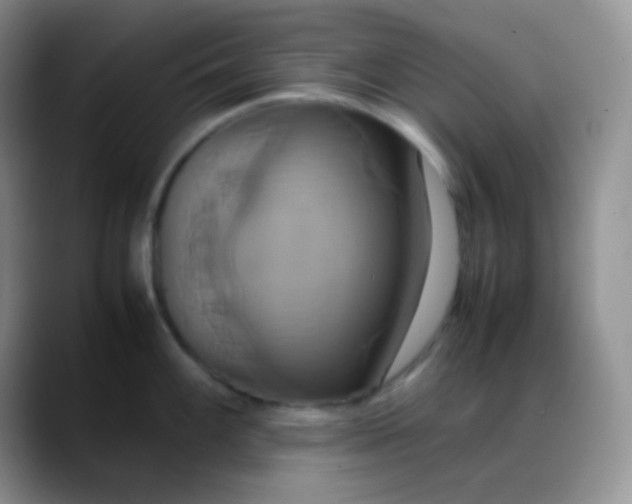 X0000088211100200705292047