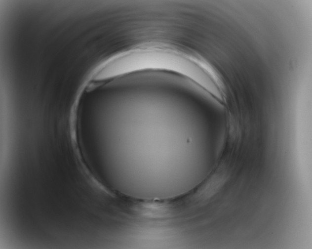 X0000088211102200705292047