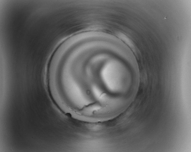 X0000088211103200705292047