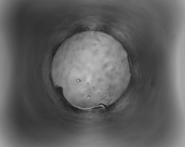 X0000088211105200705292047