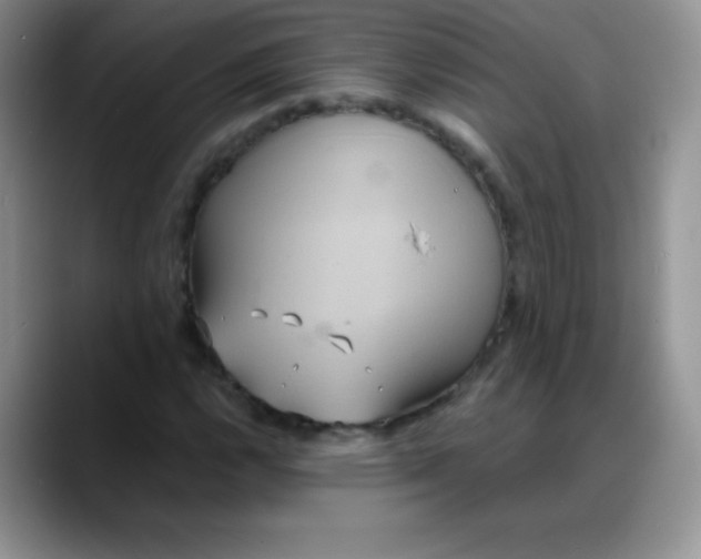 X0000088211112200705292047