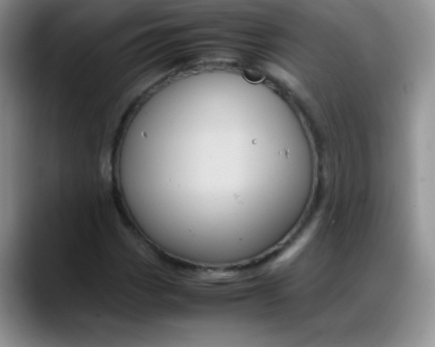 X0000088211113200705292047