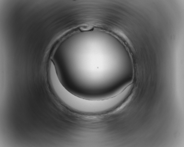 X0000088211114200705292047