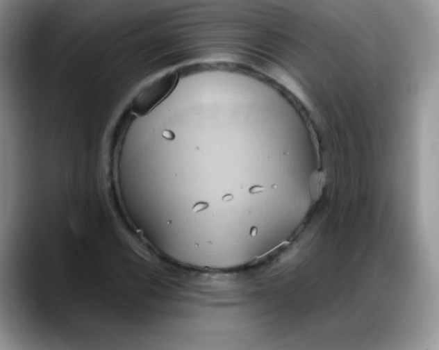 X0000088211116200705292047