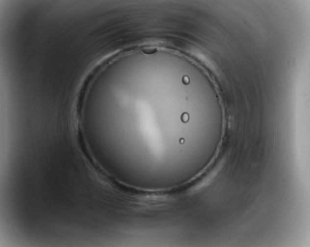 X0000088211117200705292047