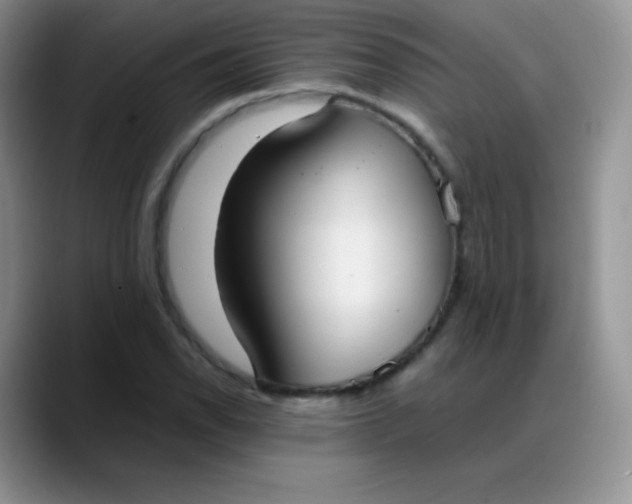 X0000088211118200705292047