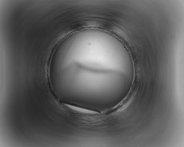 X0000088211121200705292047