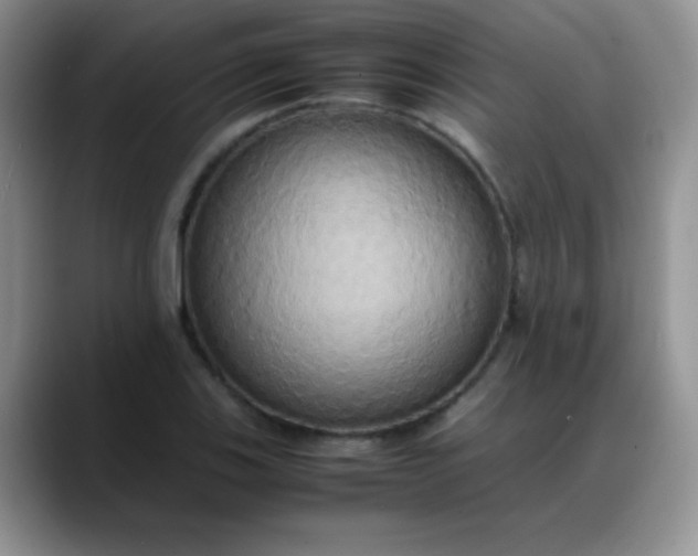 X0000088211123200705292047