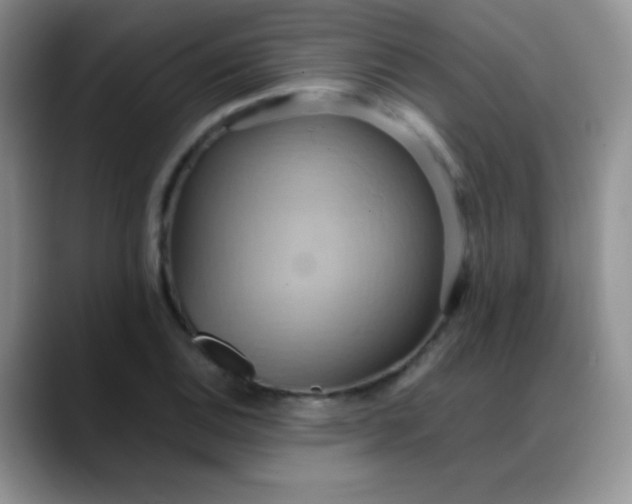 X0000088211124200705292047