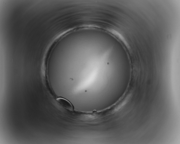 X0000088211125200705292047