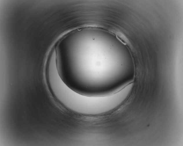 X0000088211132200705292047