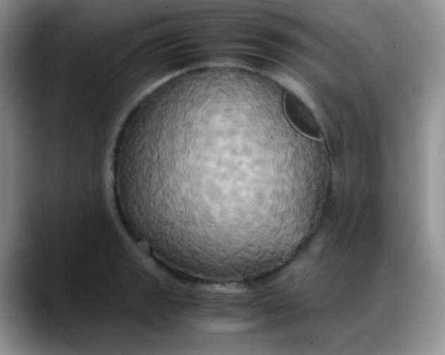 X0000088211133200705292047