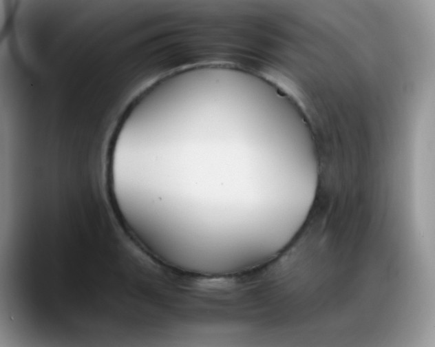 X0000088211135200705292047