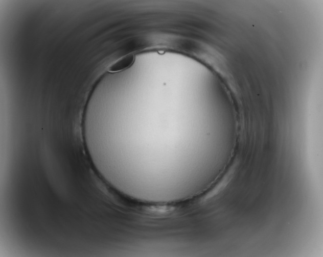 X0000088211137200705292047