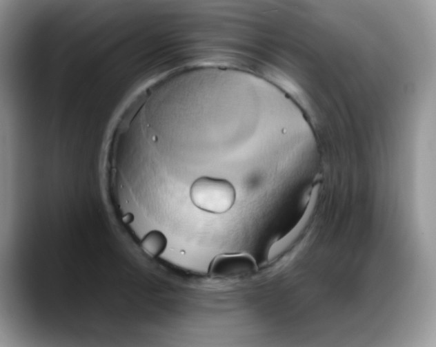 X0000088211138200705292047