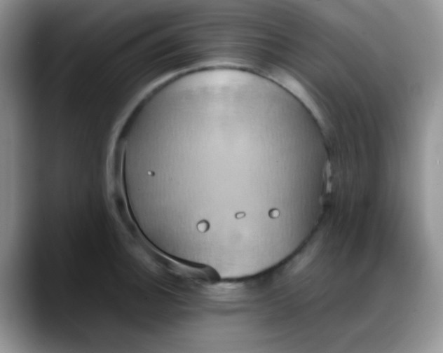X0000088211140200705292047