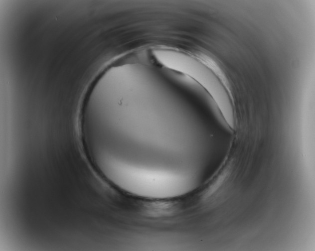 X0000088211141200705292047