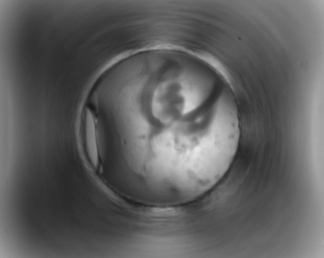 X0000088211142200705292047