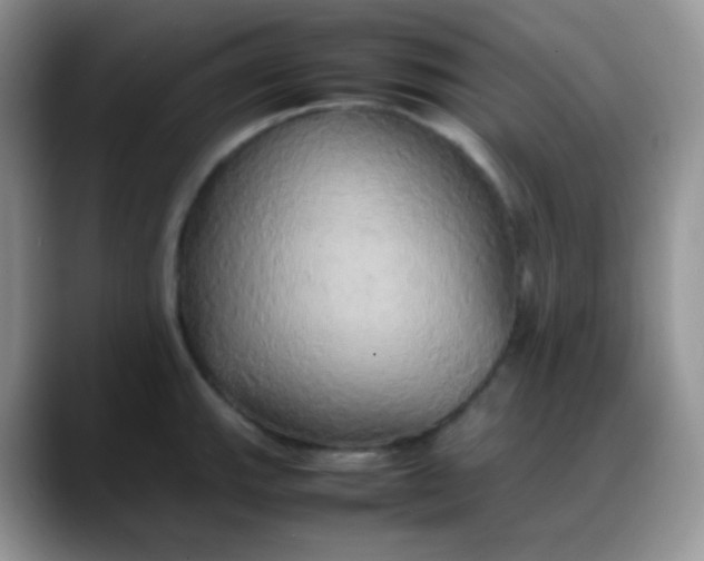 X0000088211143200705292047