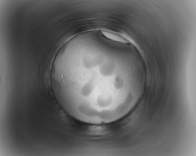 X0000088211145200705292047