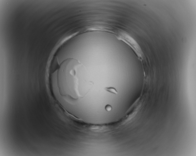 X0000088211146200705292047