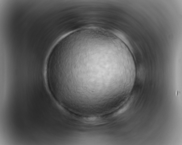 X0000088211149200705292047