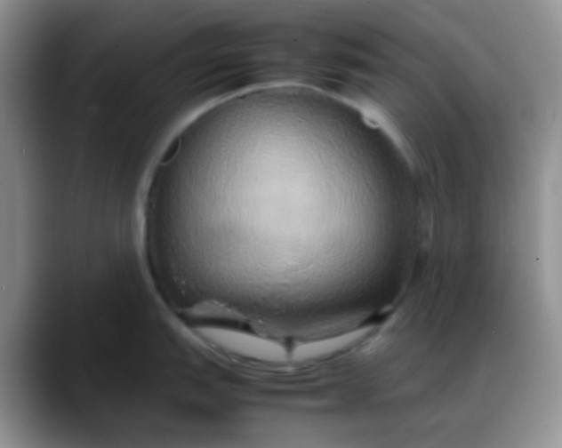 X0000088211151200705292047